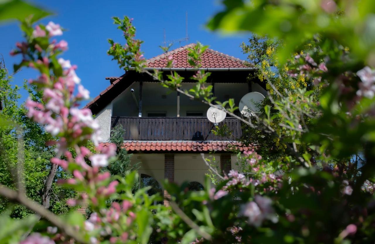 Bed and Breakfast Alabastrom Panzio Es Etterem Bogács Exterior foto