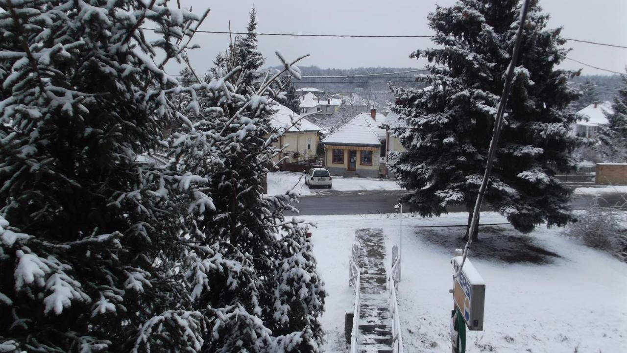 Bed and Breakfast Alabastrom Panzio Es Etterem Bogács Exterior foto